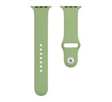 Ремінець для Apple Watch Band Silicone One-Piece Size-S 42/44/45/49 mm Колір 01, Mint 2000000428864