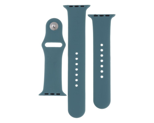 Ремінець для Apple Watch Band Silicone Two-Piece 42/44/45/49 mm Колір 55, Pine green