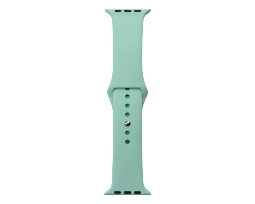 Ремінець для Apple Watch Band Silicone One-Piece Size-S 42/44/45/49 mm Колір 59, Marine green