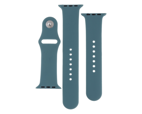 Ремінець для Apple Watch Band Silicone Two-Piece 38/40/41 mm Мята упаковка Колір 65.Cactus Color 2020000481430 ma33987_3325175