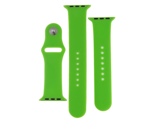 Ремінець для Apple Watch Band Silicone Two-Piece 42/44/45/49 mm Колір 52, Waterlemon