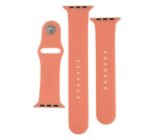 Ремінець для Apple Watch Band Silicone Two-Piece 42/44/45/49 mm Колір 52, Waterlemon 2020000268147