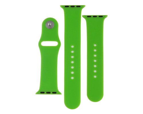 Ремінець для Apple Watch Band Silicone Two-Piece 38/40/41 mm Колір 61, Avocado green 2020000267669