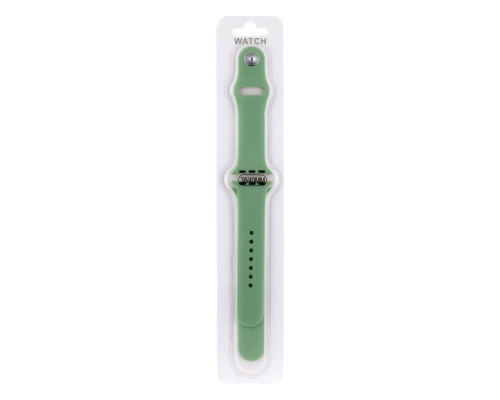 Ремінець для Apple Watch Band Silicone Two-Piece 38/40/41 mm Колір 55, Pine green