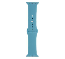 Ремінець для Apple Watch Band Silicone One-Piece Size-S 38/40/41 mm Колір 65, Cactus color 2020000247302