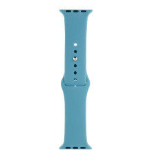 Ремінець для Apple Watch Band Silicone One-Piece Size-S 38/40/41 mm Колір 65, Cactus color 2020000247302