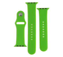 Ремінець для Apple Watch Band Silicone Two-Piece 42/44/45/49 mm Колір 40, Shiny green 2020000268123