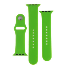 Ремінець для Apple Watch Band Silicone Two-Piece 42/44/45/49 mm Колір 40, Shiny green 2020000268123