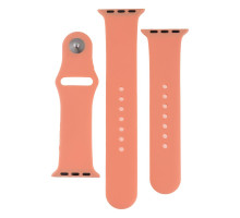 Ремінець для Apple Watch Band Silicone Two-Piece 38/40/41 mm Колір 52, Waterlemon 2020000267799