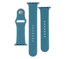 Ремінець для Apple Watch Band Silicone Two-Piece 42/44/45/49 mm Колір 65, Cactus color 2020000268024