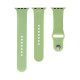 Ремінець для Apple Watch Band Silicone Two-Piece 42/44/45/49 mm Колір 01, Mint