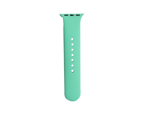 Ремінець для Apple Watch Band Silicone One-Piece Small Size 38/40/41 mm Колір 09 2020000095033