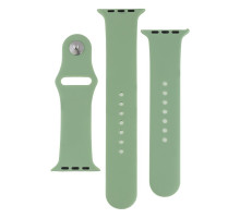 Ремінець для Apple Watch Band Silicone Two-Piece 42/44/45/49 mm Колір 01, Mint 2020000268314