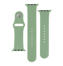 Ремінець для Apple Watch Band Silicone Two-Piece 42/44/45/49 mm Колір 01, Mint 2020000268314