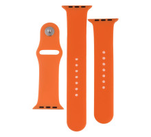 Ремінець для Apple Watch Band Silicone Two-Piece 42/44/45/49 mm Колір 01, Mint