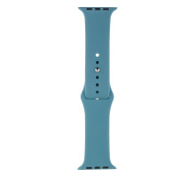 Ремінець для Apple Watch Band Silicone One-Piece Size-S 42/44/45/49 mm Колір 65, Cactus color 2020000247180