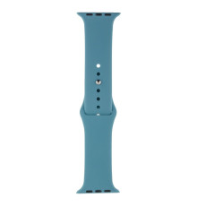 Ремінець для Apple Watch Band Silicone One-Piece Size-S 42/44/45/49 mm Колір 65, Cactus color 2020000247180