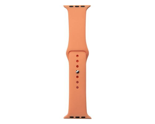 Ремінець для Apple Watch Band Silicone One-Piece Size-S 42/44/45/49 mm Колір 38, Shiny pink 2020000146414