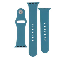 Ремінець для Apple Watch Band Silicone Two-Piece 38/40/41 mm Колір 65, Cactus color 2020000267683