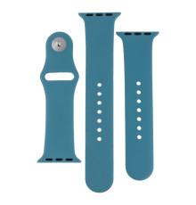 Ремінець для Apple Watch Band Silicone Two-Piece 38/40/41 mm Колір 65, Cactus color 2020000267683