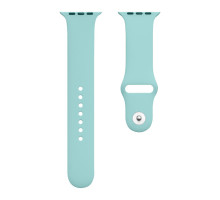 Ремінець для Apple Watch Band Silicone One-Piece Size-S 38/40/41 mm Колір 47, Spearmint 2020000088523