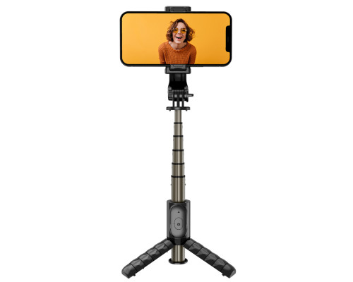 Трипод Proove Tiny Stick II Selfie Stick Tripod (630 mm) black 2003000254815 6901116255299