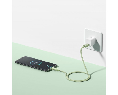 Кабель Baseus Habitat Series Fast Charging USB to Type-C 100W (1m) pink