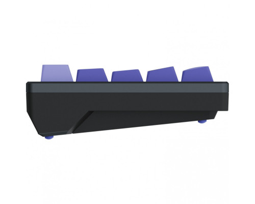 Дротова магнітна клавіатура Proove Gaming Aress (Ukraine Layout) black/purple 2003000347487 6901112672175