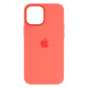 Чохол Silicone Case with MagSafe+SplashScreen для iPhone 12 Pro Max Колір 5, Cyprus Green