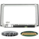 УЦІНКА! Матриця 15.6" NV156FHM-N43 (1920*1080, 30pin(eDP, 300cd/m2 (!!!), колір: 72%, IPS, контрастність 800:1, LED, SLIM(вертикальні вушка), матова, роз'єм справа внизу) для ноутбука NBB-135052