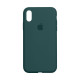 Чохол Silicone Case Full Size (AA) для iPhone Xr Колір 65.Cactus color 2020000235033