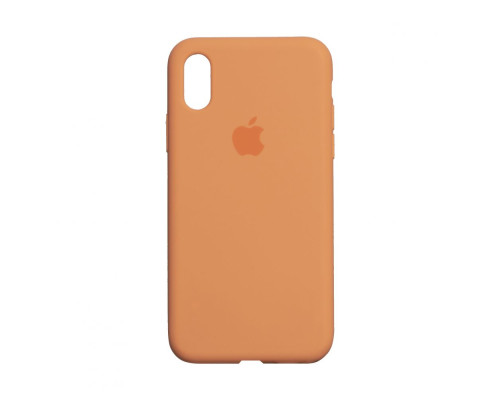 Чохол Silicone Case Full Size (AA) для iPhone Xr Колір 65.Cactus color 2020000235033