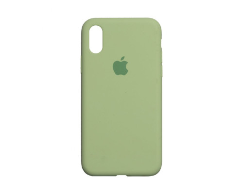 Чохол Silicone Case Full Size (AA) для iPhone Xr Колір 65.Cactus color 2020000235033