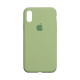 Чохол Silicone Case Full Size (AA) для iPhone Xr Колір 65.Cactus color 2020000235033