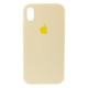 Чохол Silicone Case Full Size (AA) для iPhone Xr Колір 65.Cactus color 2020000235033