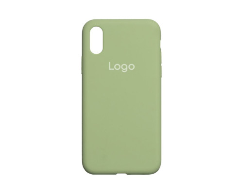 Чохол Silicone Case Full Size (AA) для iPhone X/Xs Колір 40.Shiny green 2020000149163