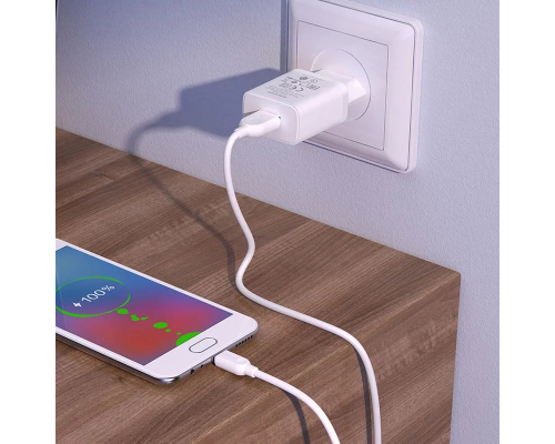Зарядний пристрій Borofone BA52A 10.5W 2.1A 1USB-A з кабелем Type-C white PLS-00-00080683