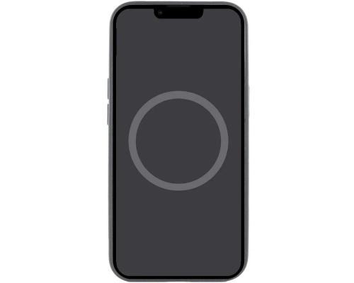 Чохол Silicone Case Full з MagSafe та Анімацією iPhone 16 black PLS-00-00134871