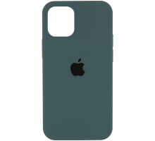 Чохол Silicone Case Full Protective iPhone 12 Pro Max cactus PLS-00-00108916