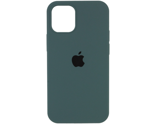 Чохол Silicone Case Full Protective iPhone 12 Pro Max cactus PLS-00-00108916