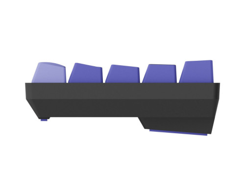 Дротова магнітна клавіатура Proove Gaming Cyrex (Ukraine Layout) black/purple 2003000347470 6901116586232