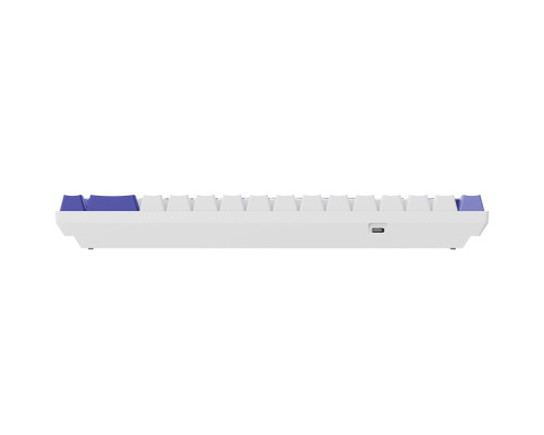 Дротова магнітна клавіатура Proove Gaming Cyrex (Ukraine Layout) black/purple 2003000347470 6901116586232