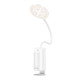 Лампа Настільна з Кліпсою Hoco HX10 Колір Бiлий 6942007646628 ma36921_3609524