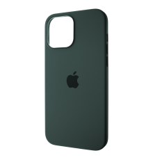 Чохол Silicone Case Full з MagSafe та Анімацією iPhone 13 Pro Eucalyptus PLS-00-00109138
