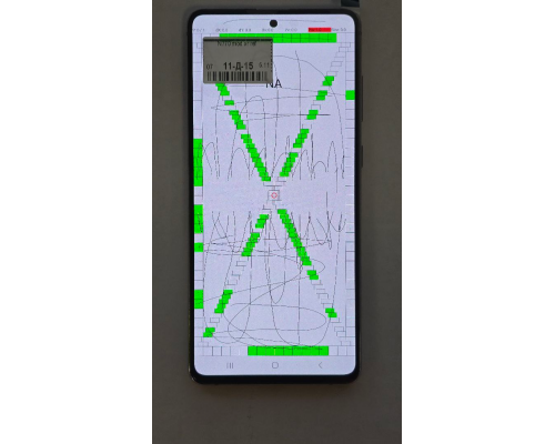 Дисплей Samsung N770 Galaxy Note 10 Lite з сенсором black (Original Refurbished) (УЦІНКА) PLS-00-00139716