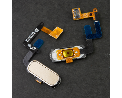 Кнопка Home Samsung A320F Galaxy A3 (2017) gold PLS-00-00015897