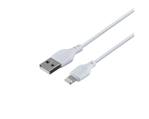 Мережевий Зарядний Пристрій XO L31 Lightning 2USB 2.4A Колір Білий