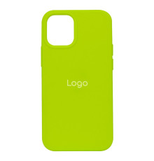 Чохол Silicone Case Full Size (AA) для iPhone 12 mini Колір 40.Shiny Green 2020000420385