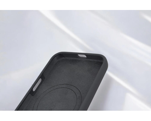 Чохол Silicone case Beats with MagSafe iPhone 16 rose PLS-00-00134384