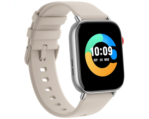 Смарт годинник Gelius Amazwatch Numix GP-SW009 silver PLS-00-00161421